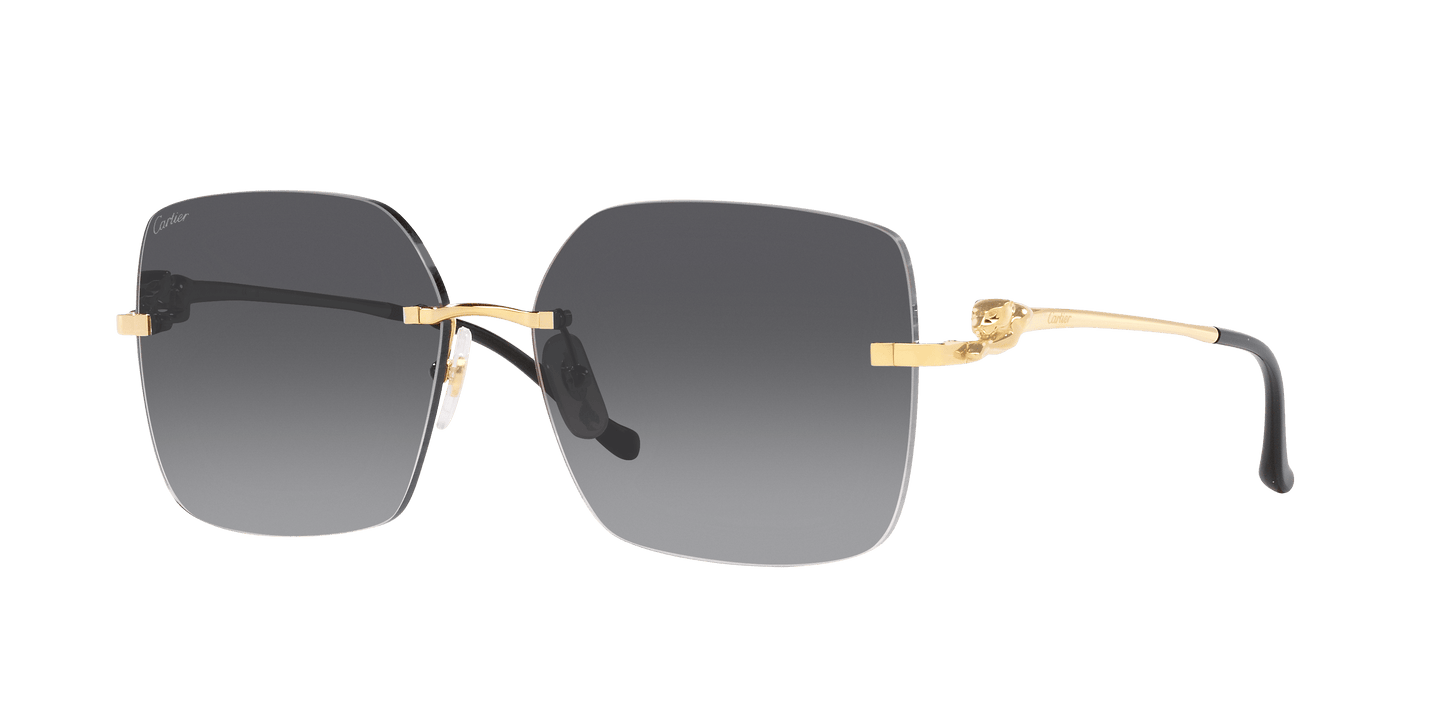 Cartier Gold-Grey Sunglasses | CARTIER CT0359S Gold-Grey