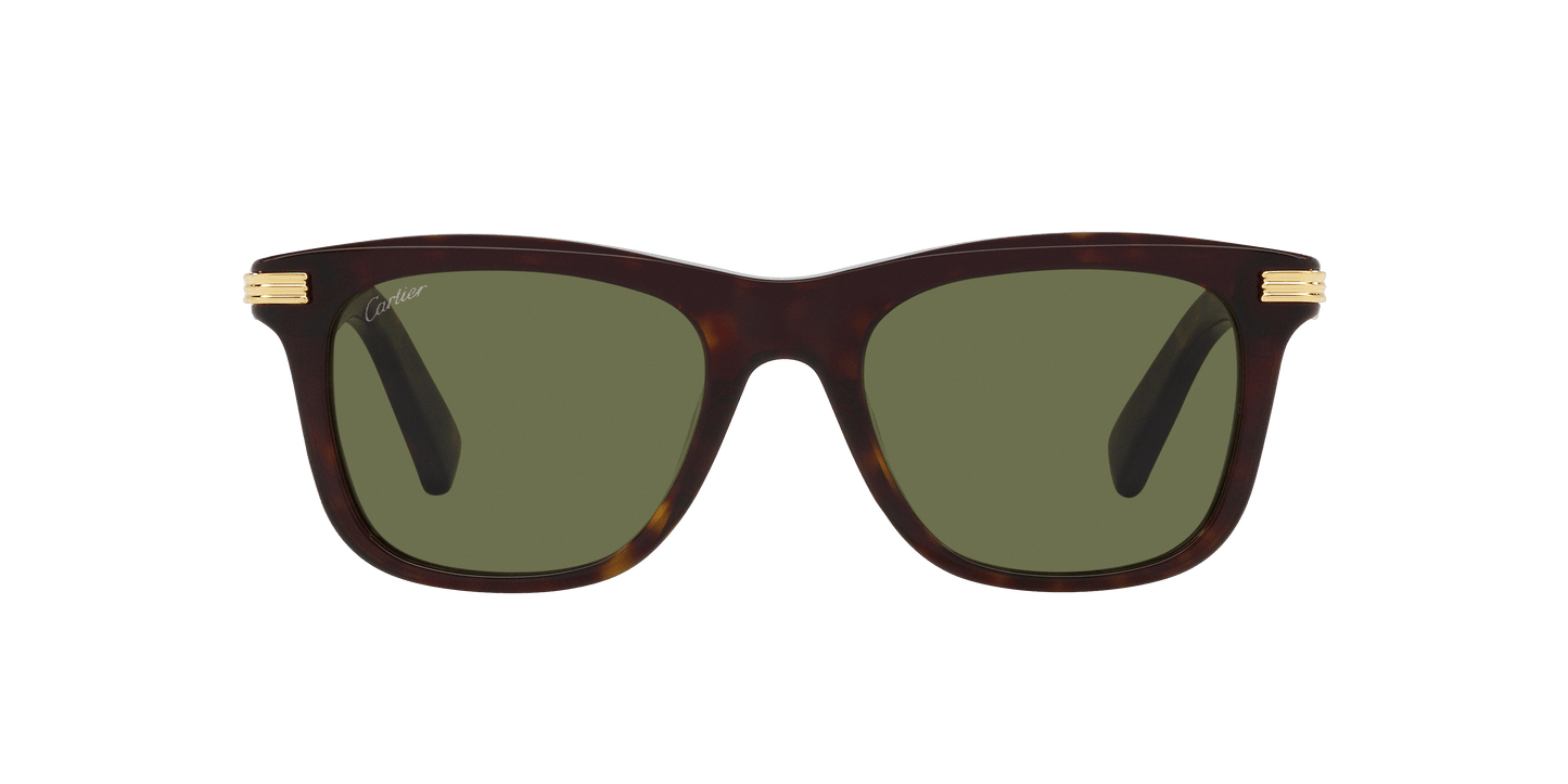 משקפי שמש קרטייה צב-ירוק | CARTIER CT0396S Tortoise-Green