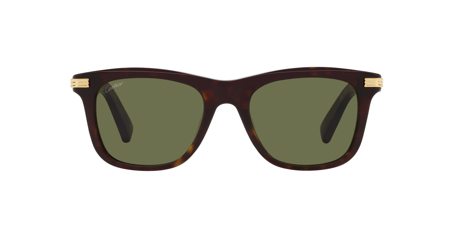 משקפי שמש קרטייה צב-ירוק | CARTIER CT0396S Tortoise-Green