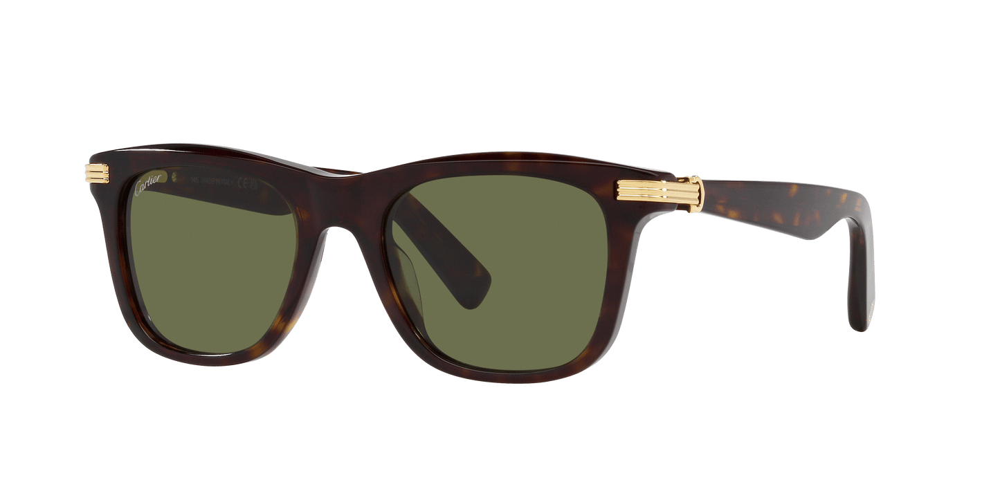 משקפי שמש קרטייה צב-ירוק | CARTIER CT0396S Tortoise-Green