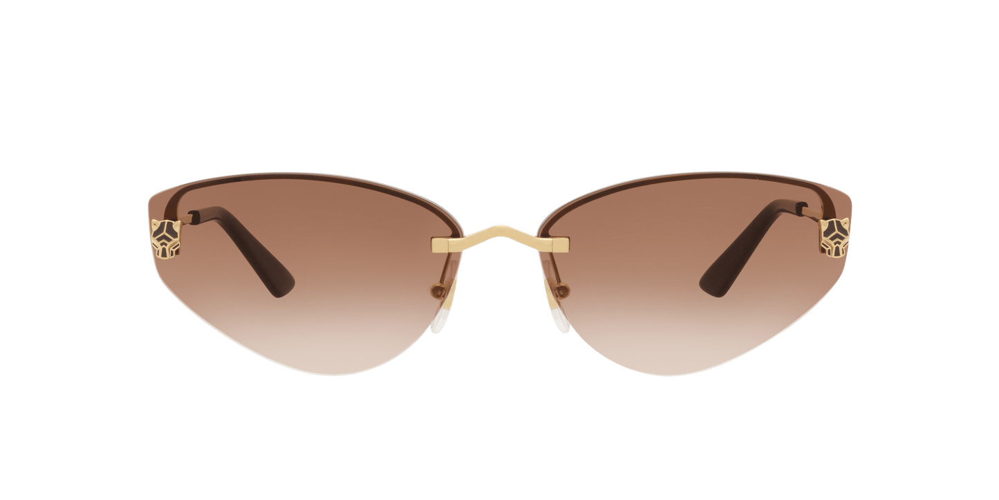 Cartier sunglasses in gold-brown color | CARTIER CT0431S Gold-Brown