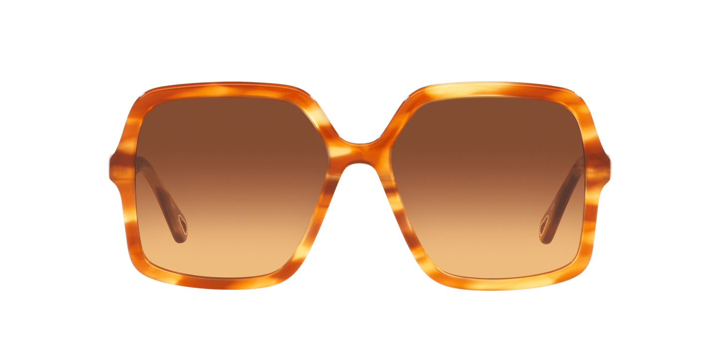 משקפי שמש קלואי חומים | Chloé CH0086S Brown