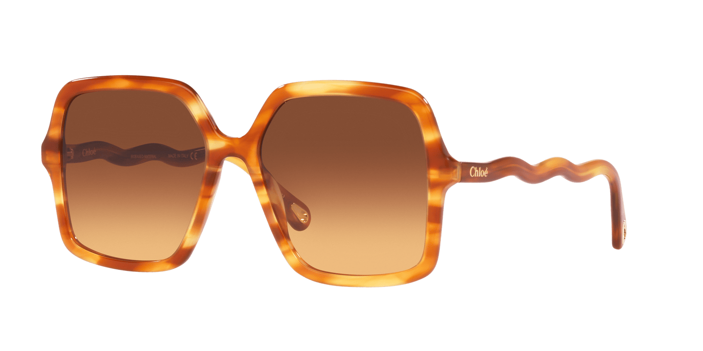 משקפי שמש קלואי חומים | Chloé CH0086S Brown