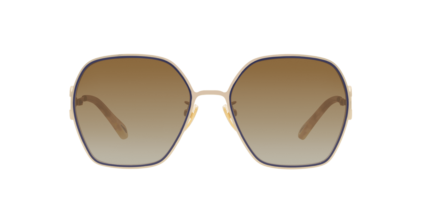 משקפי שמש של קלואי שחור-חום | Chloé CH0146S Black-Brown