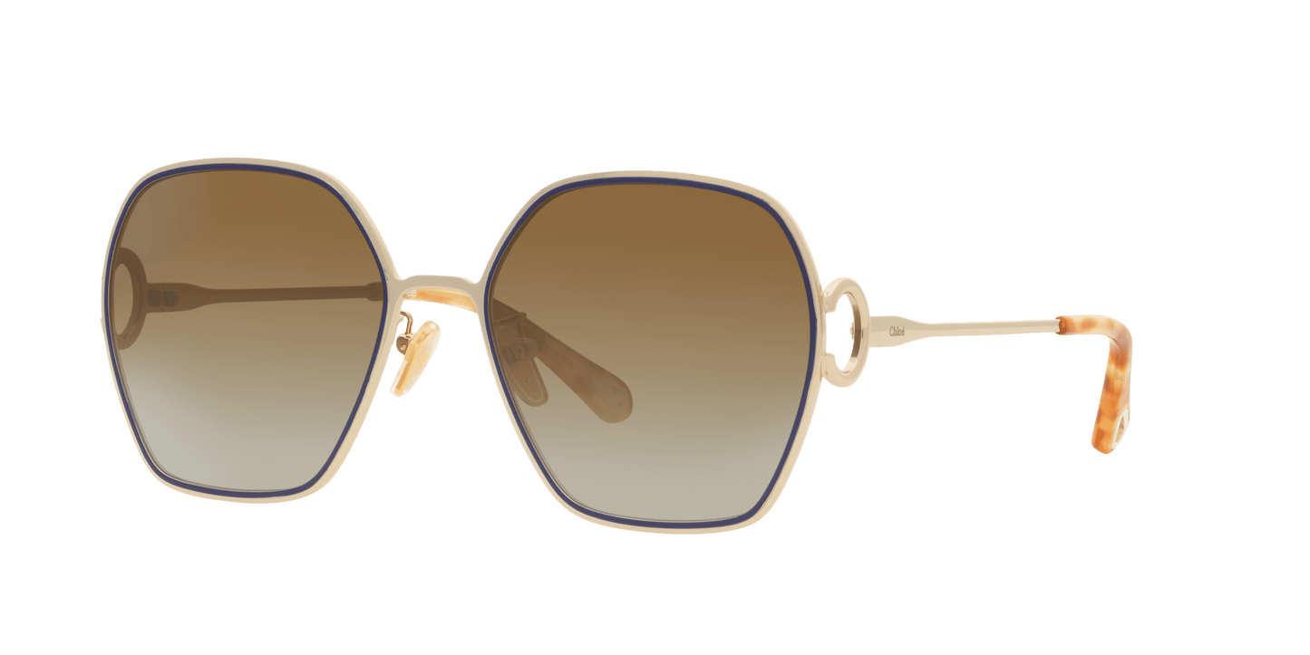 משקפי שמש של קלואי שחור-חום | Chloé CH0146S Black-Brown