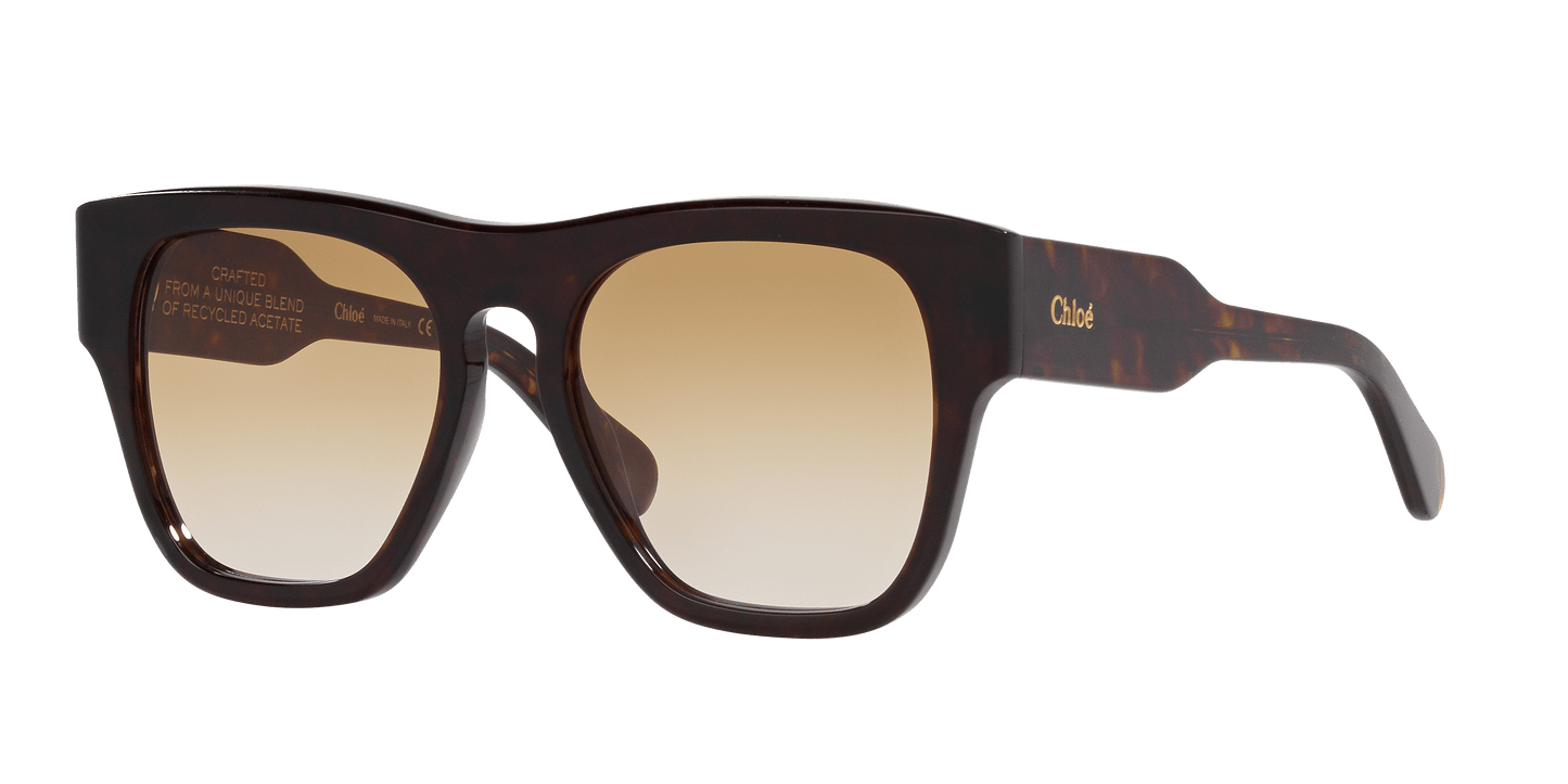 משקפי שמש קלואי צב-חום | Chloé CH0149S Tortoise-Brown