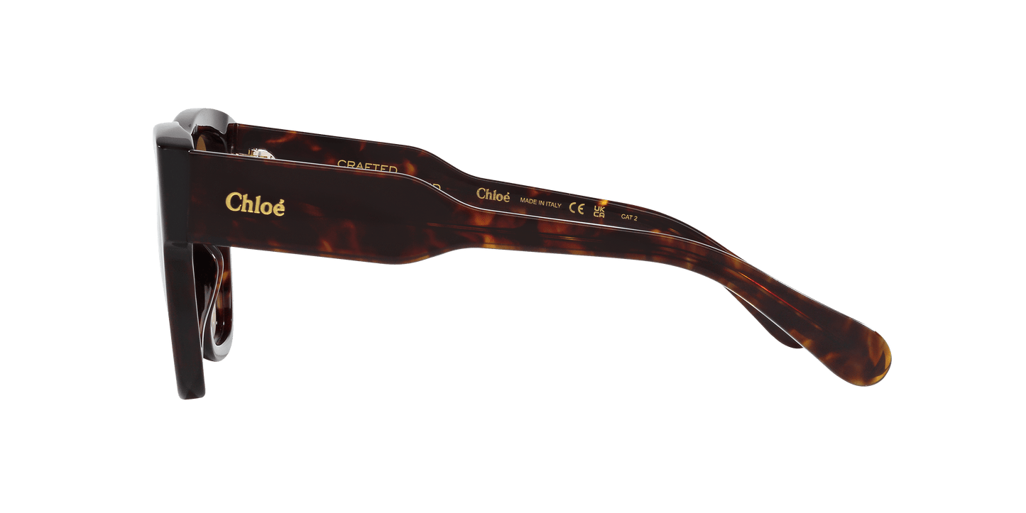 משקפי שמש קלואי צב-חום | Chloé CH0149S Tortoise-Brown
