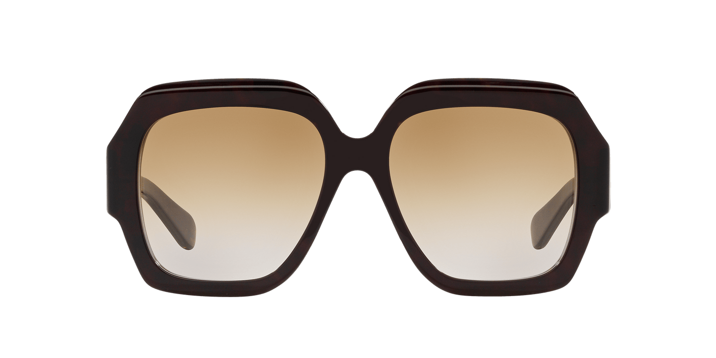 משקפי שמש קלואי צב-חום | Chloé CH0154S Tortoise-Brown