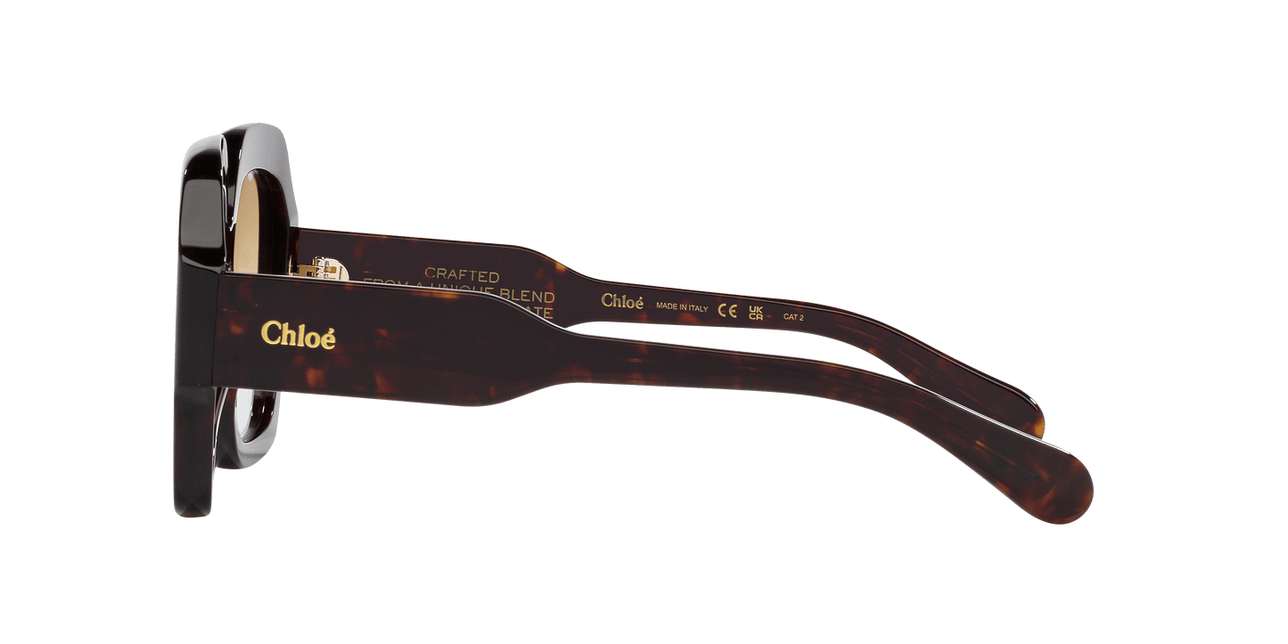משקפי שמש קלואי צב-חום | Chloé CH0154S Tortoise-Brown