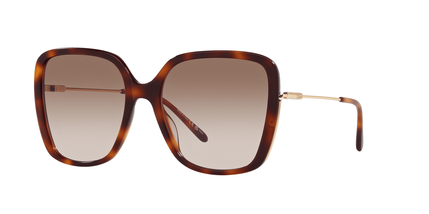 Chloé Tortoise-Brown Sunglasses | Chloé CH0173S Tortoise-Brown