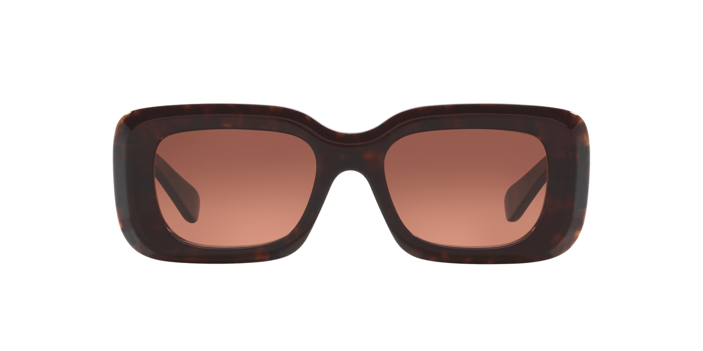 משקפי שמש קלואי צב-נחושת | Chloé CH0188S Tortoise-Copper
