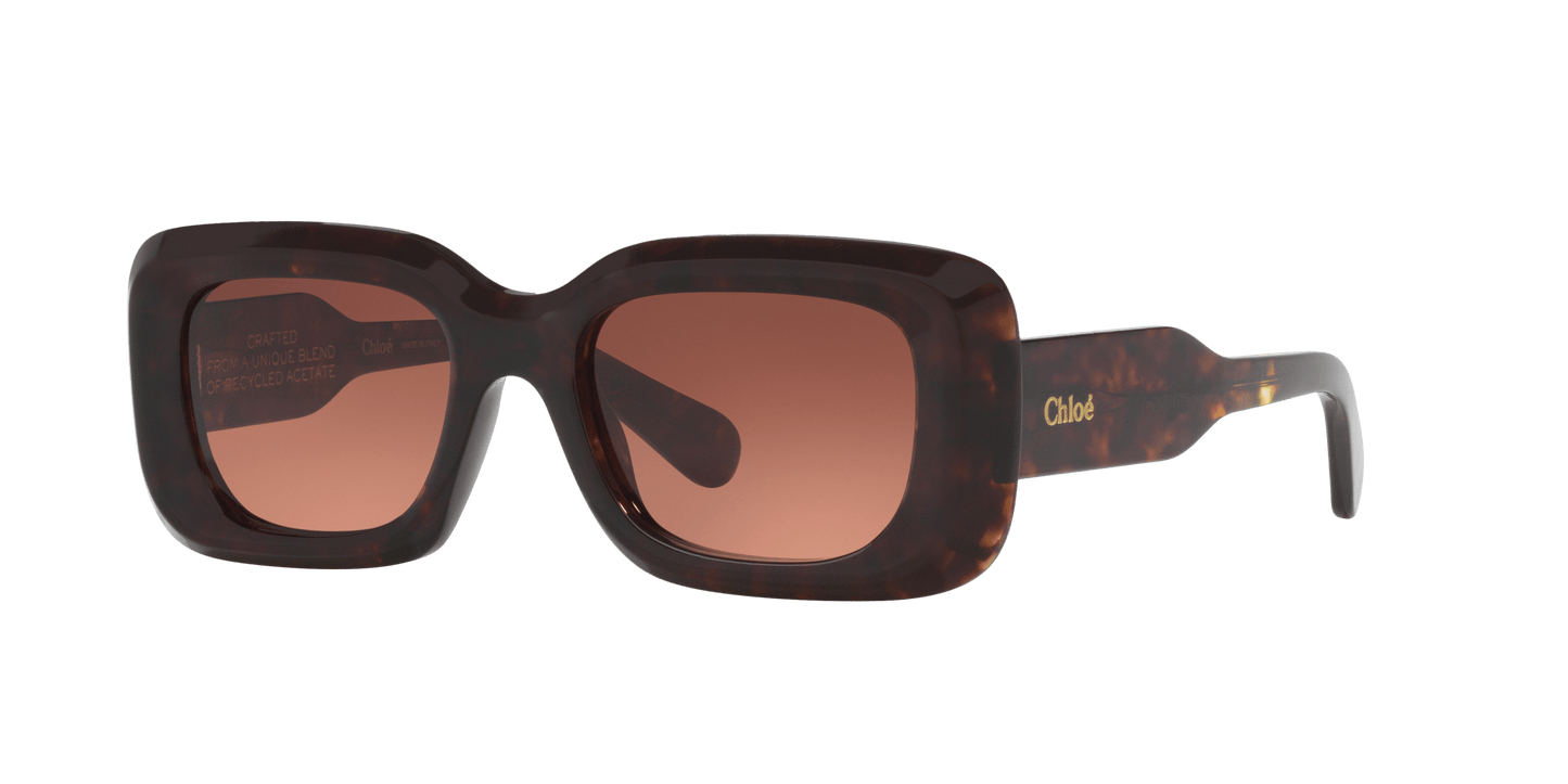 משקפי שמש קלואי צב-נחושת | Chloé CH0188S Tortoise-Copper