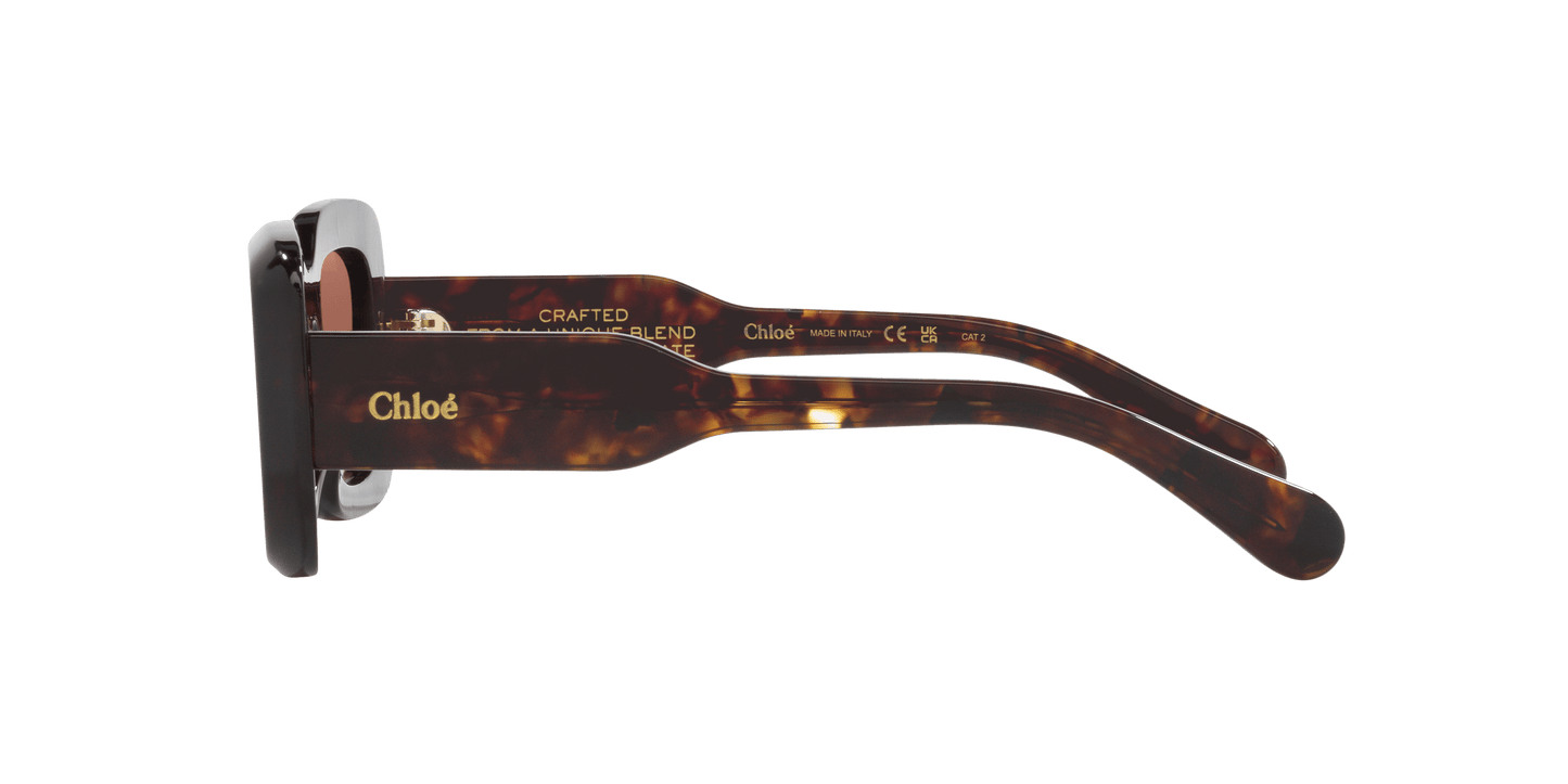 משקפי שמש קלואי צב-נחושת | Chloé CH0188S Tortoise-Copper