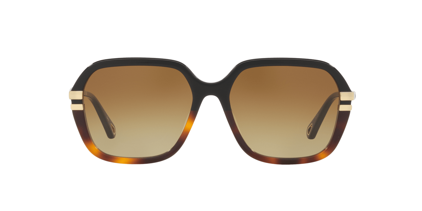 משקפי שמש של קלואי שחור-חום | Chloé CH0204S Black-Brown