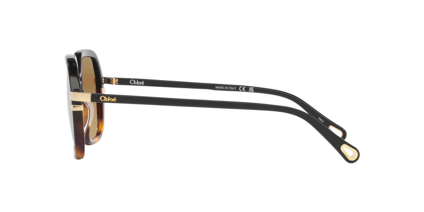 משקפי שמש של קלואי שחור-חום | Chloé CH0204S Black-Brown