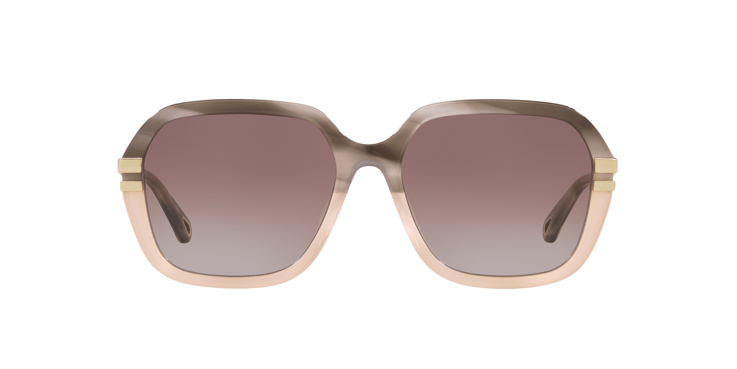משקפי שמש של קלואי אפור-חום | Chloé CH0204S Grey-Brown