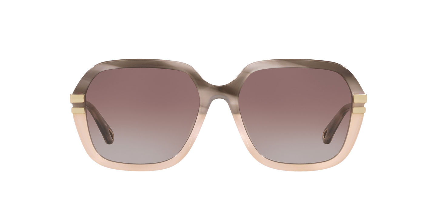 משקפי שמש של קלואי אפור-חום | Chloé CH0204S Grey-Brown
