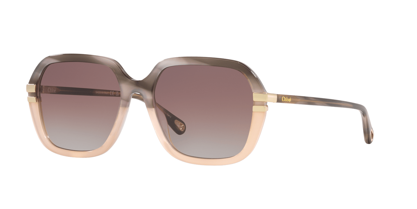 משקפי שמש של קלואי אפור-חום | Chloé CH0204S Grey-Brown