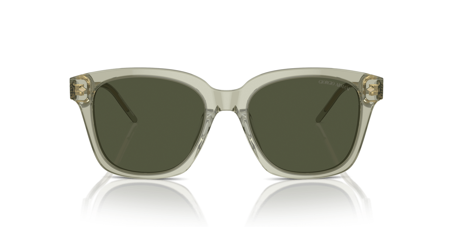 משקפי שמש של ג'ורג'יו ארמני ירוק שקוף-ירוק | GIORGIO ARMANI AR8210U Transparent Green-Green