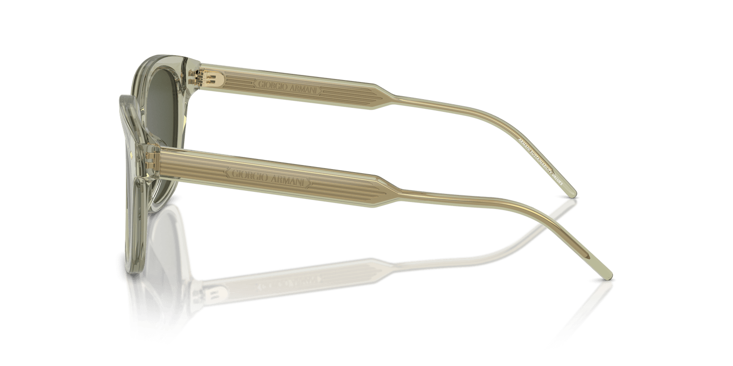 משקפי שמש של ג'ורג'יו ארמני ירוק שקוף-ירוק | GIORGIO ARMANI AR8210U Transparent Green-Green