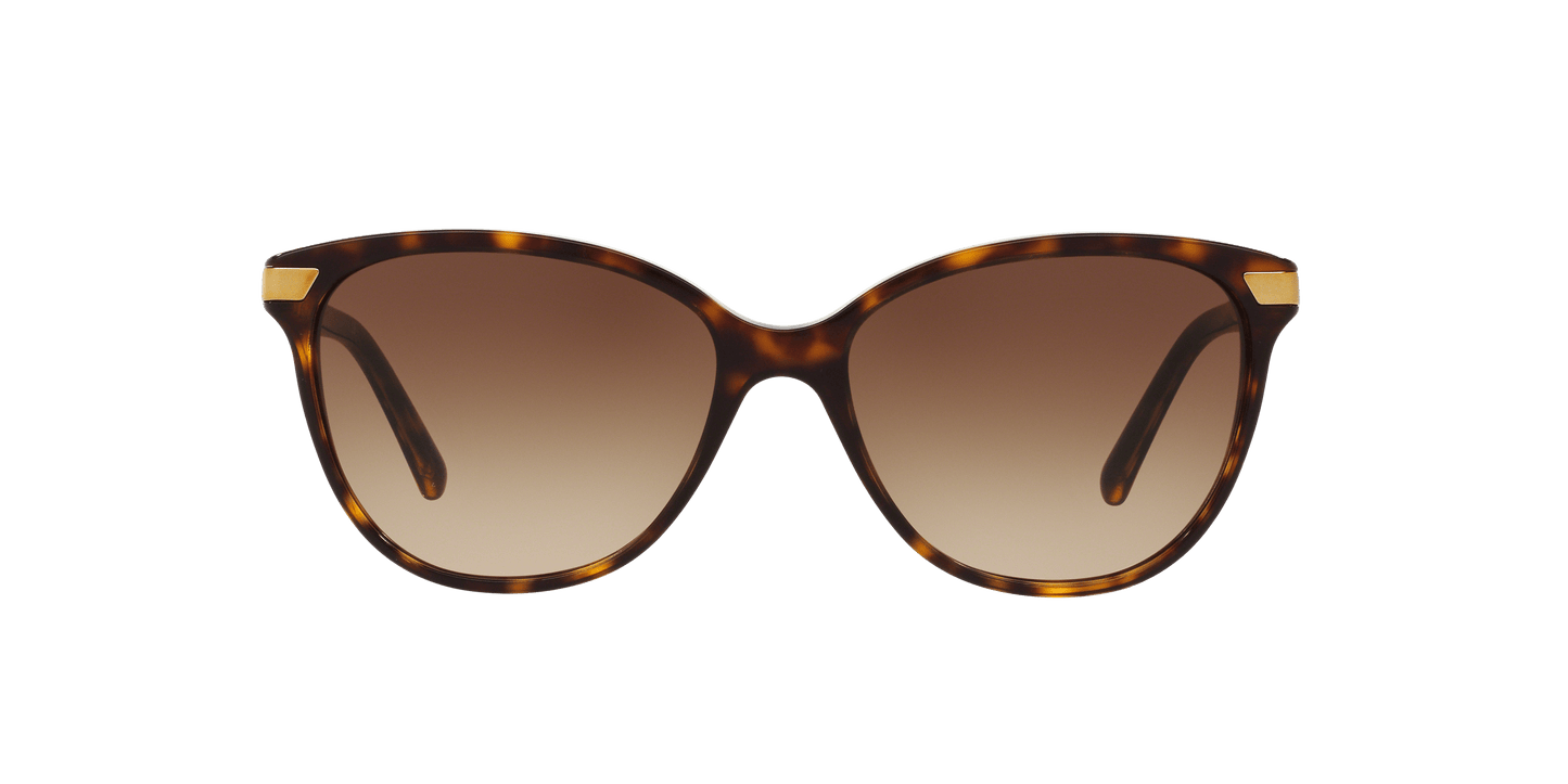 משקפי שמש בורברי כהה הוואנה-חום שיפוע | BURBERRY BE4216 Dark Havana-Brown Gradient