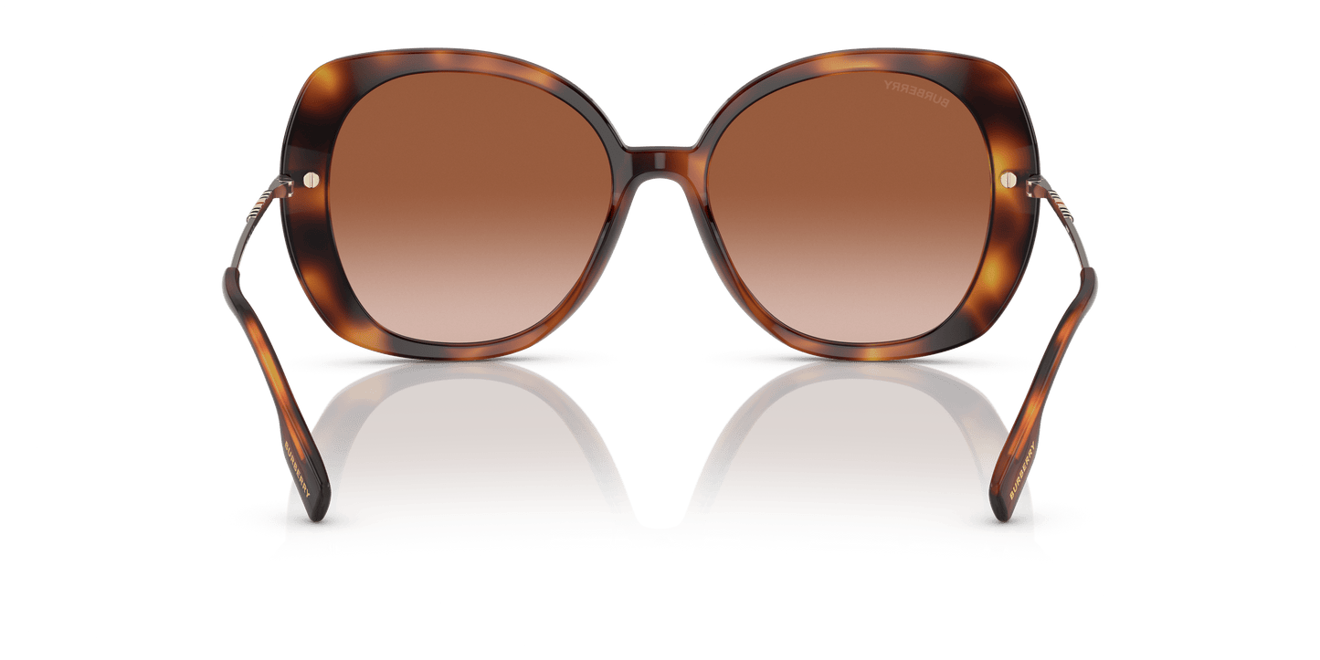 Burberry Sunglasses Light Havana-Brown Gradient | BURBERRY BE4374 Eugenie Light Havana-Brown Gradient