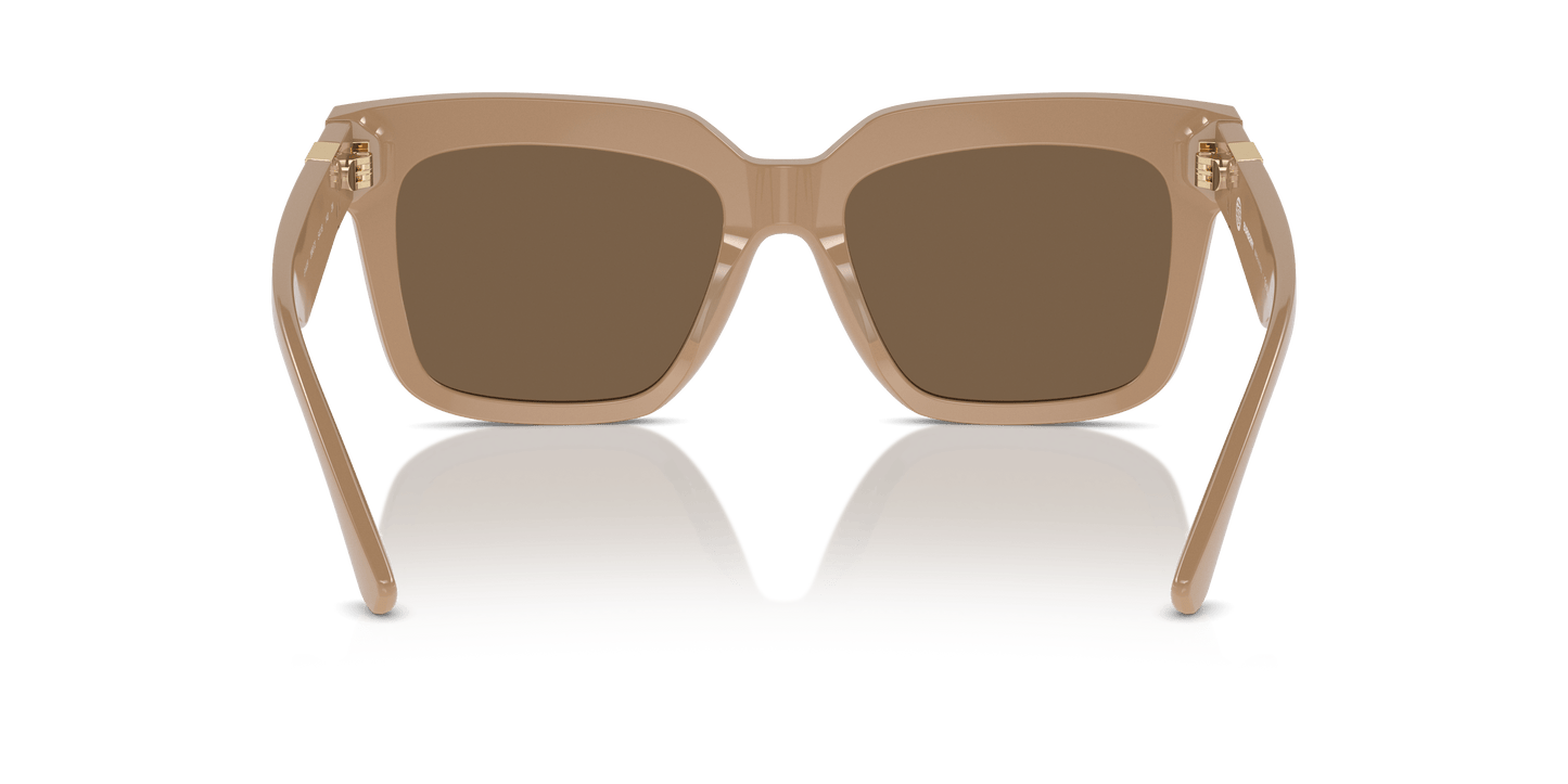 משקפי שמש של ברברי בז'-חום כהה | BURBERRY BE4419 Beige-Dark Brown