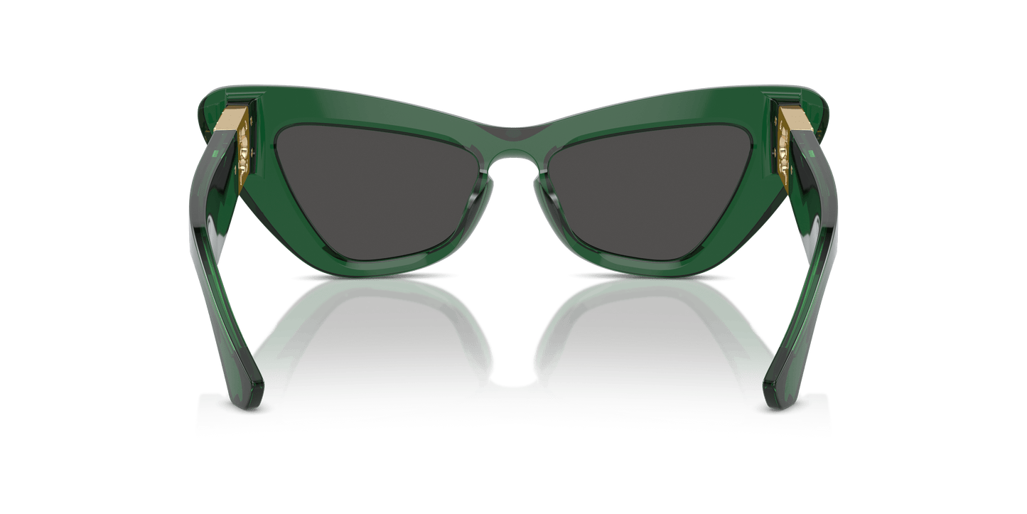 Burberry Sunglasses Green-Dark Grey | BURBERRY BE4421U Green-Dark Grey