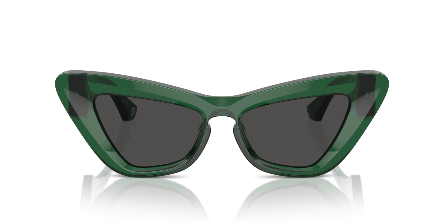 Burberry Sunglasses Green-Dark Grey | BURBERRY BE4421U Green-Dark Grey