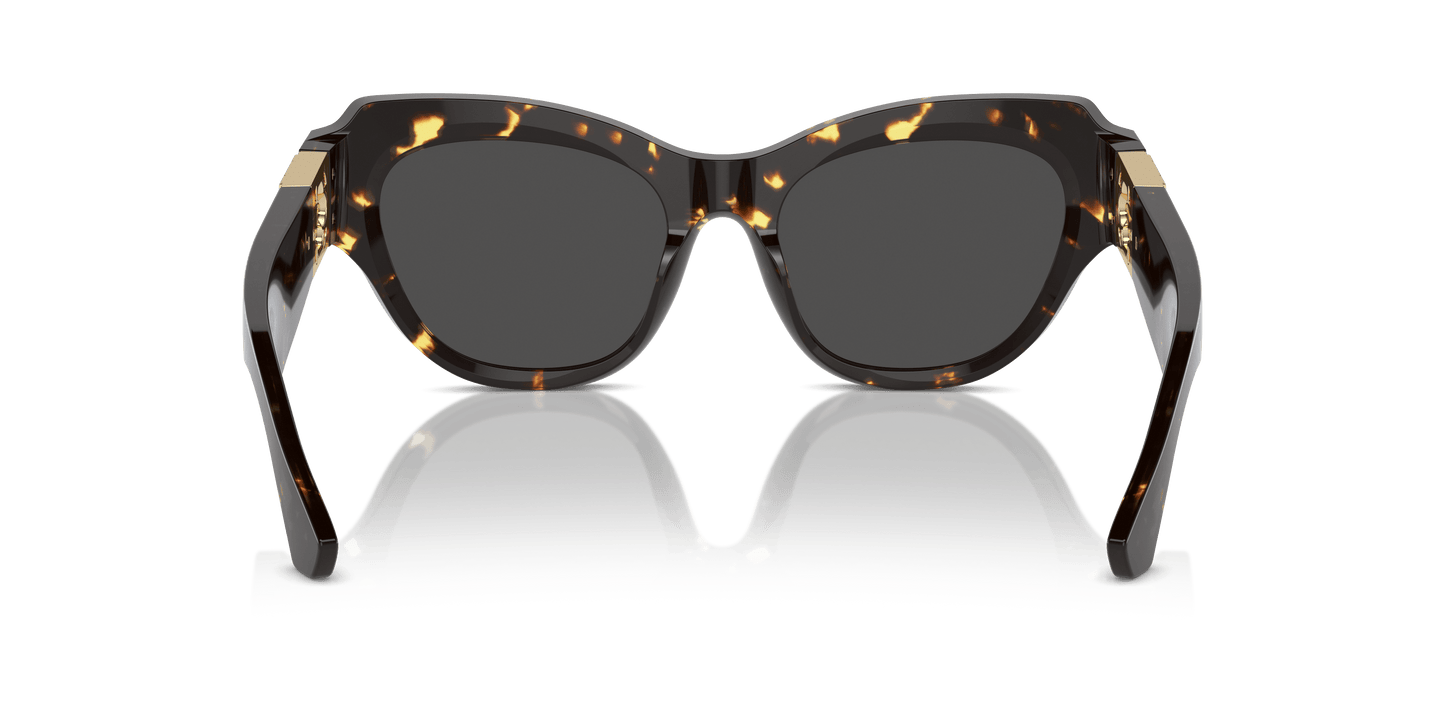 משקפי שמש של ברברי, הבנה כהה-אפור כהה | BURBERRY BE4423 Dark Havana-Dark Grey