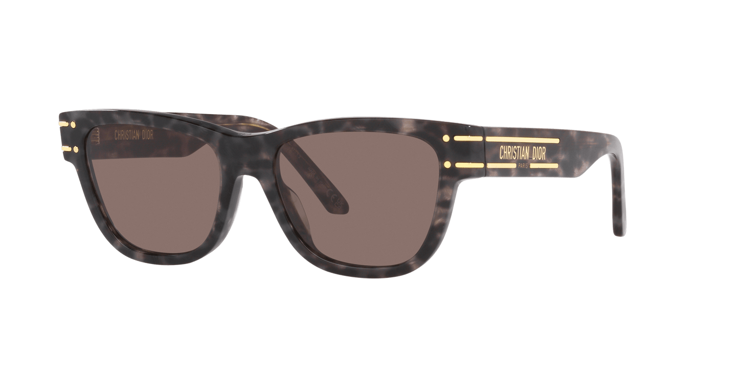 Dior Sunglasses Grey | Dior DiorSignature S6U Grey