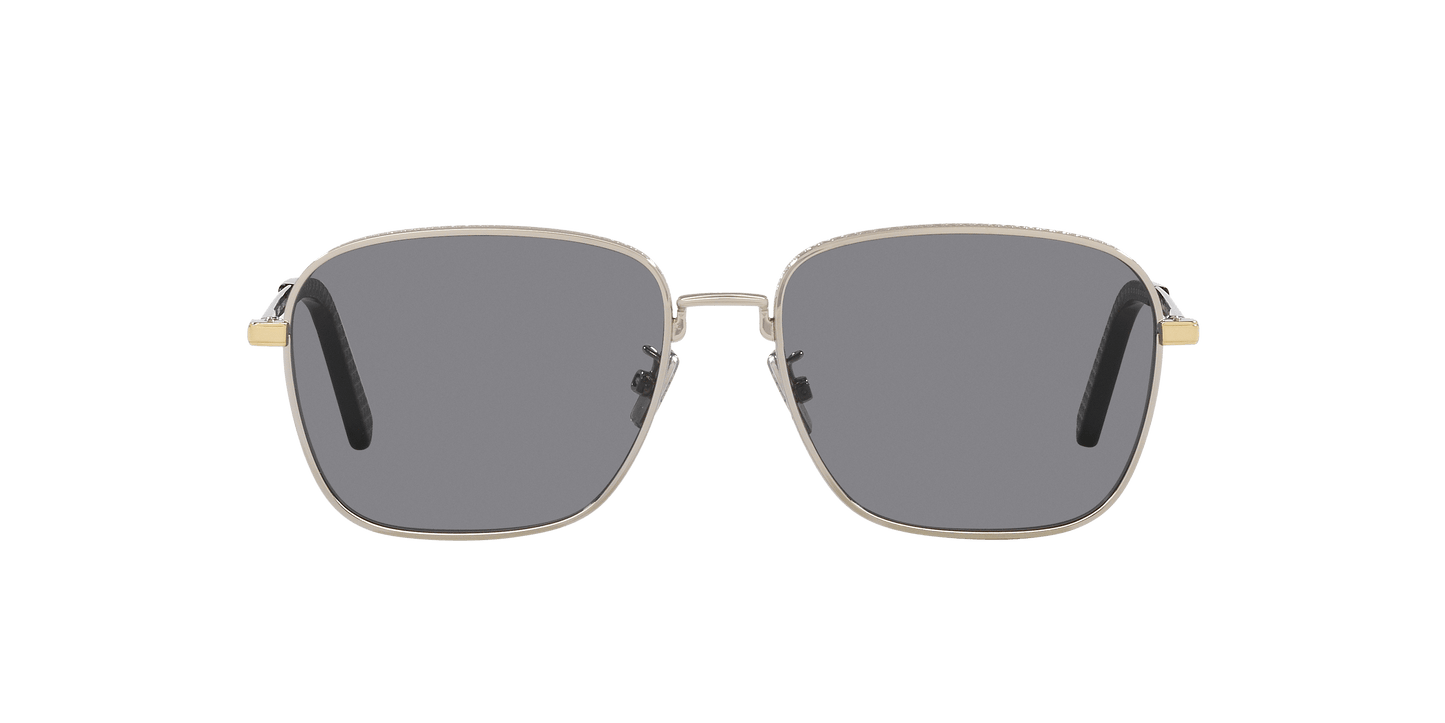 Dior CD Diamond S4U Silver-Smoke Sunglasses