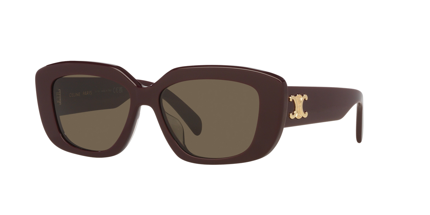 Celine Sunglasses Violet-Brown | CELINE CL40216U Violet-Brown