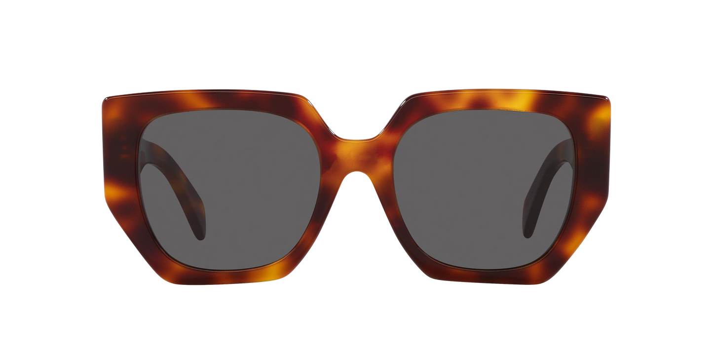 סלין משקפי שמש צב-כחול | CELINE CL40239F Tortoise-Blue