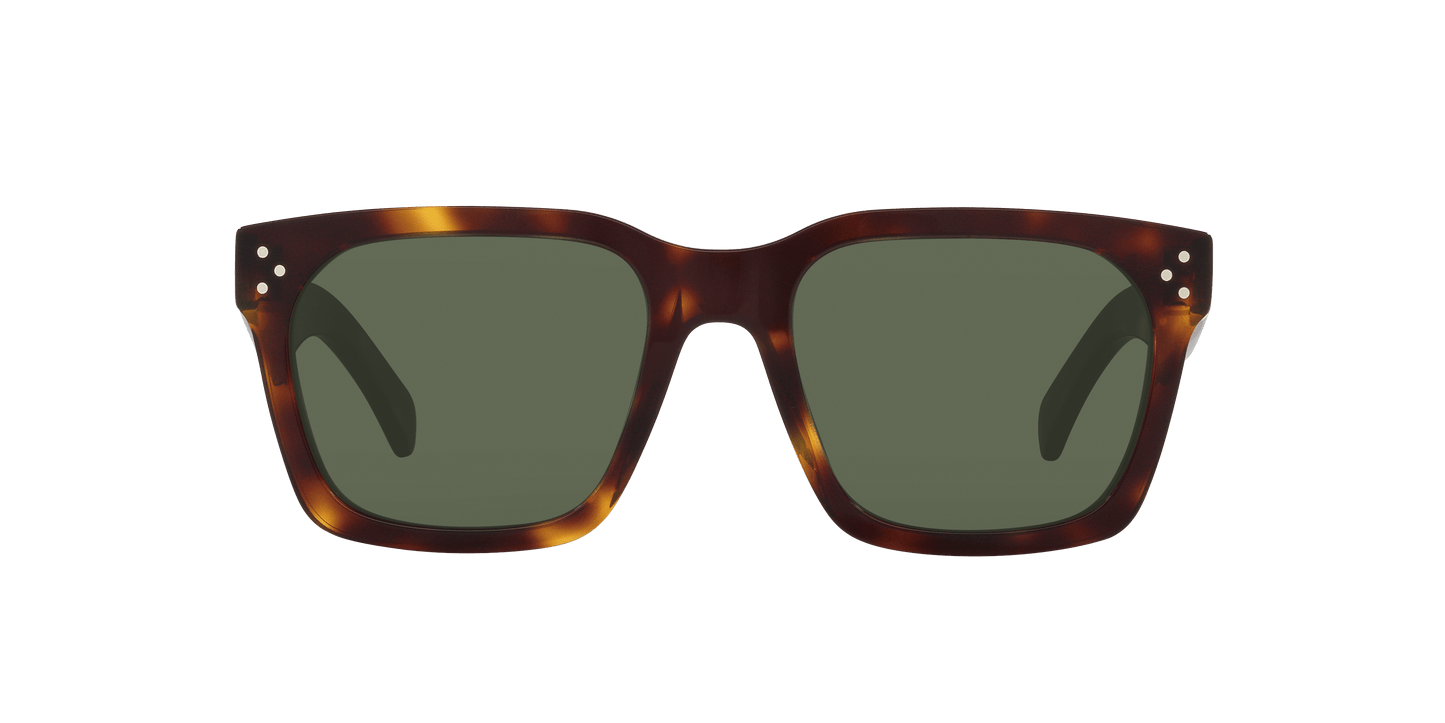 סלין משקפי שמש צב צהוב-כחול | CELINE CL40248I Tortoise Yellow-Blue