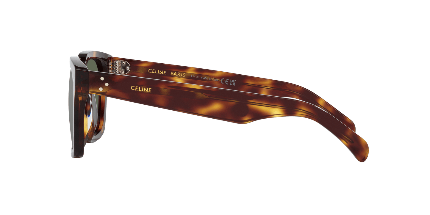 סלין משקפי שמש צב צהוב-כחול | CELINE CL40248I Tortoise Yellow-Blue