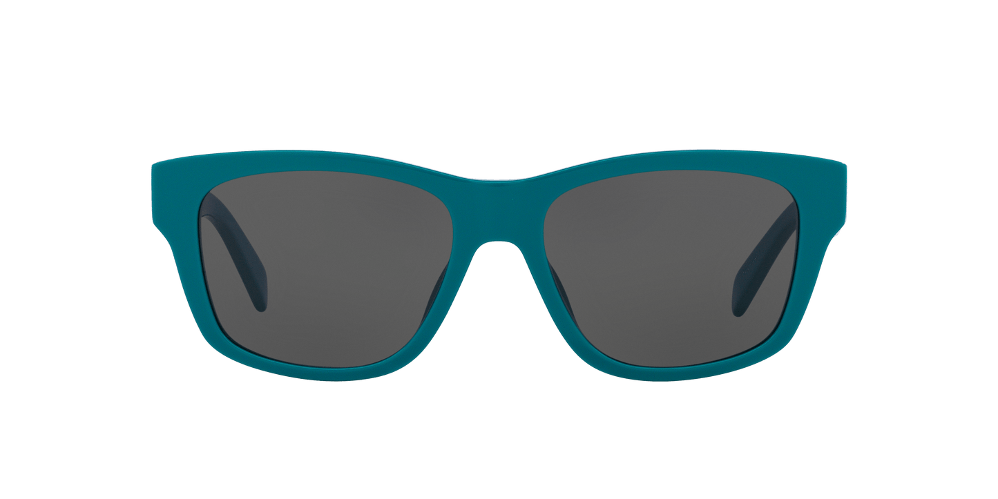 Celine Sunglasses Black-Brown | CELINE CL40249U Black-Brown