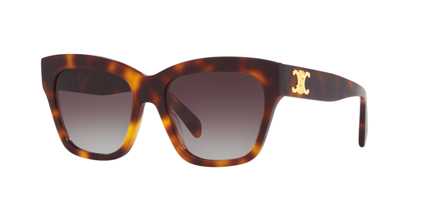 Celine Sunglasses Tortoise-Brown | CELINE Triomphe Tortoise-Brown