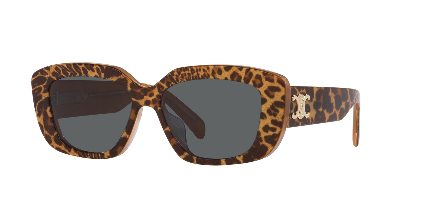 Celine Tortoise-Grey Sunglasses | CELINE Triomphe CL40216U Tortoise-Grey