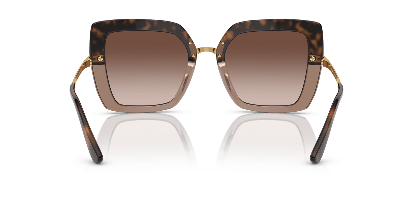 Dolce & Gabbana Sunglasses Havana On Transparent Brown-Brown Gradient Dark Brown | Dolce&Gabbana DG4373 Havana On Transparent Brown-Brown Gradient Dark Brown