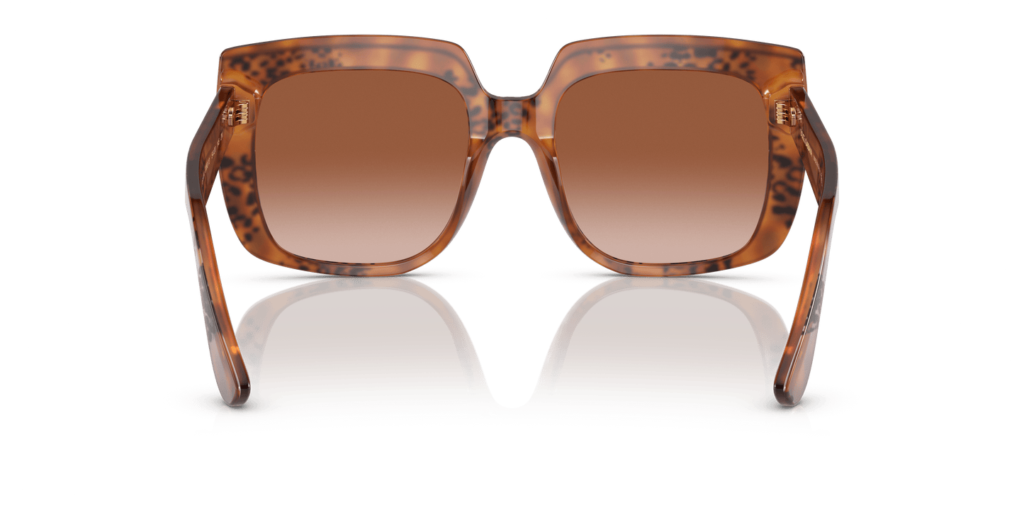 משקפי שמש דולצ'ה וגבאנה בצבע חום-הוואנה | Dolce&Gabbana DG4414 Havana-Brown Gradient