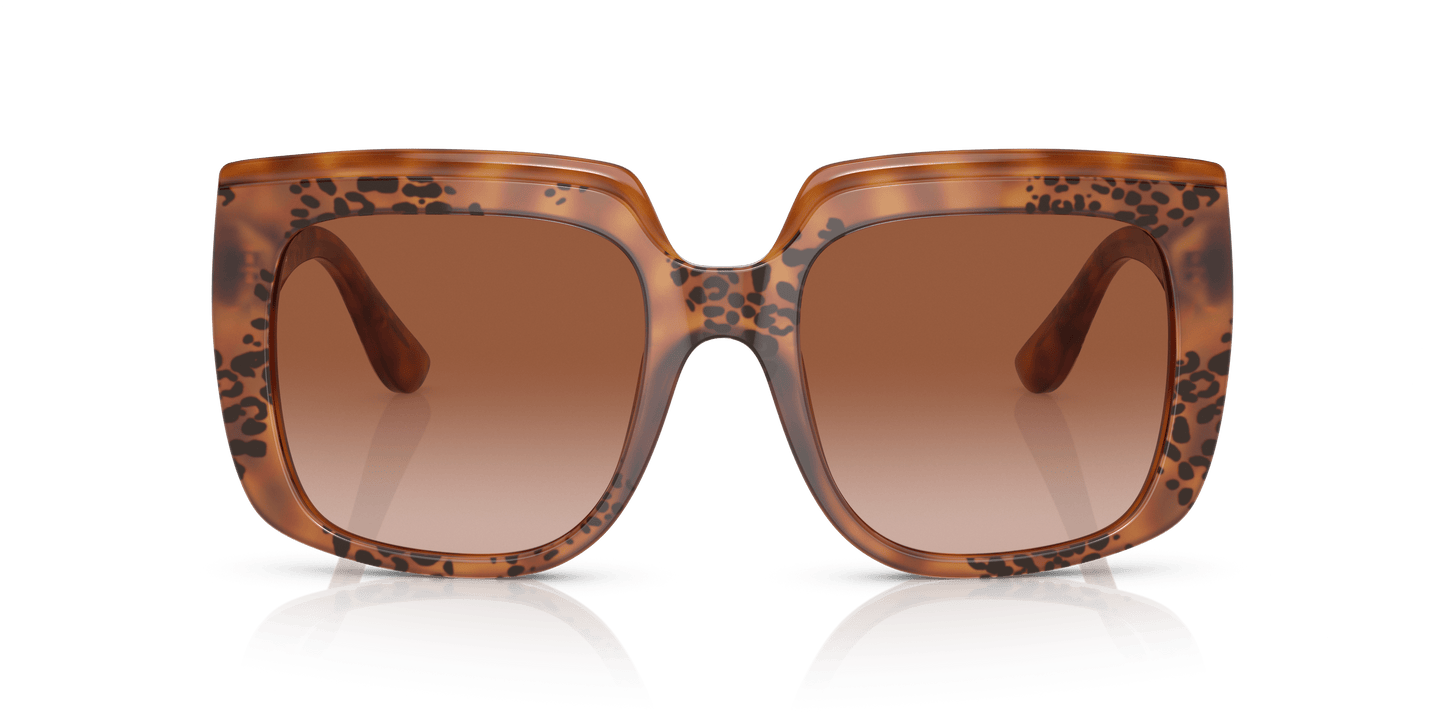 משקפי שמש דולצ'ה וגבאנה בצבע חום-הוואנה | Dolce&Gabbana DG4414 Havana-Brown Gradient
