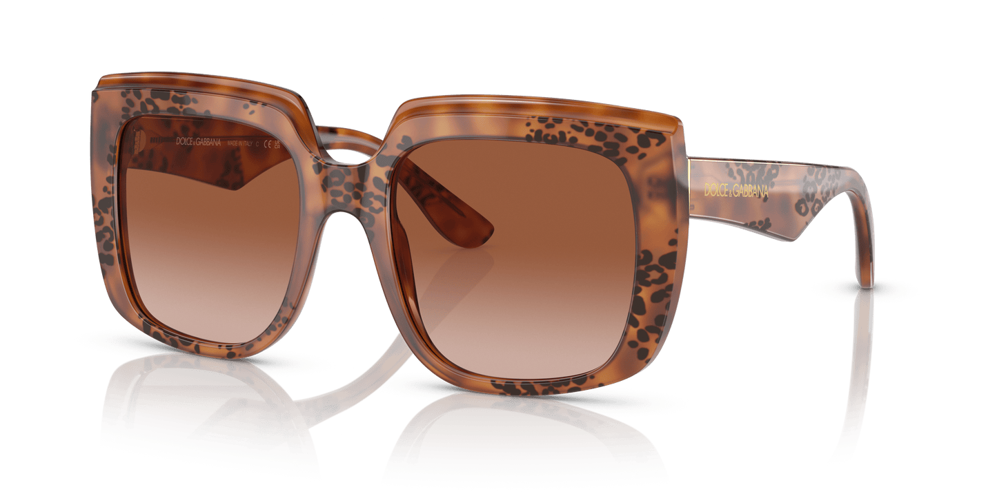 משקפי שמש דולצ'ה וגבאנה בצבע חום-הוואנה | Dolce&Gabbana DG4414 Havana-Brown Gradient