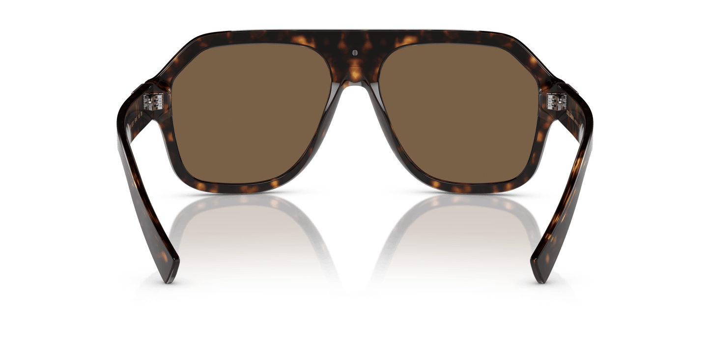 Dolce & Gabbana Sunglasses Havana-Dark Brown | Dolce&Gabbana DG4433 Havana-Dark Brown
