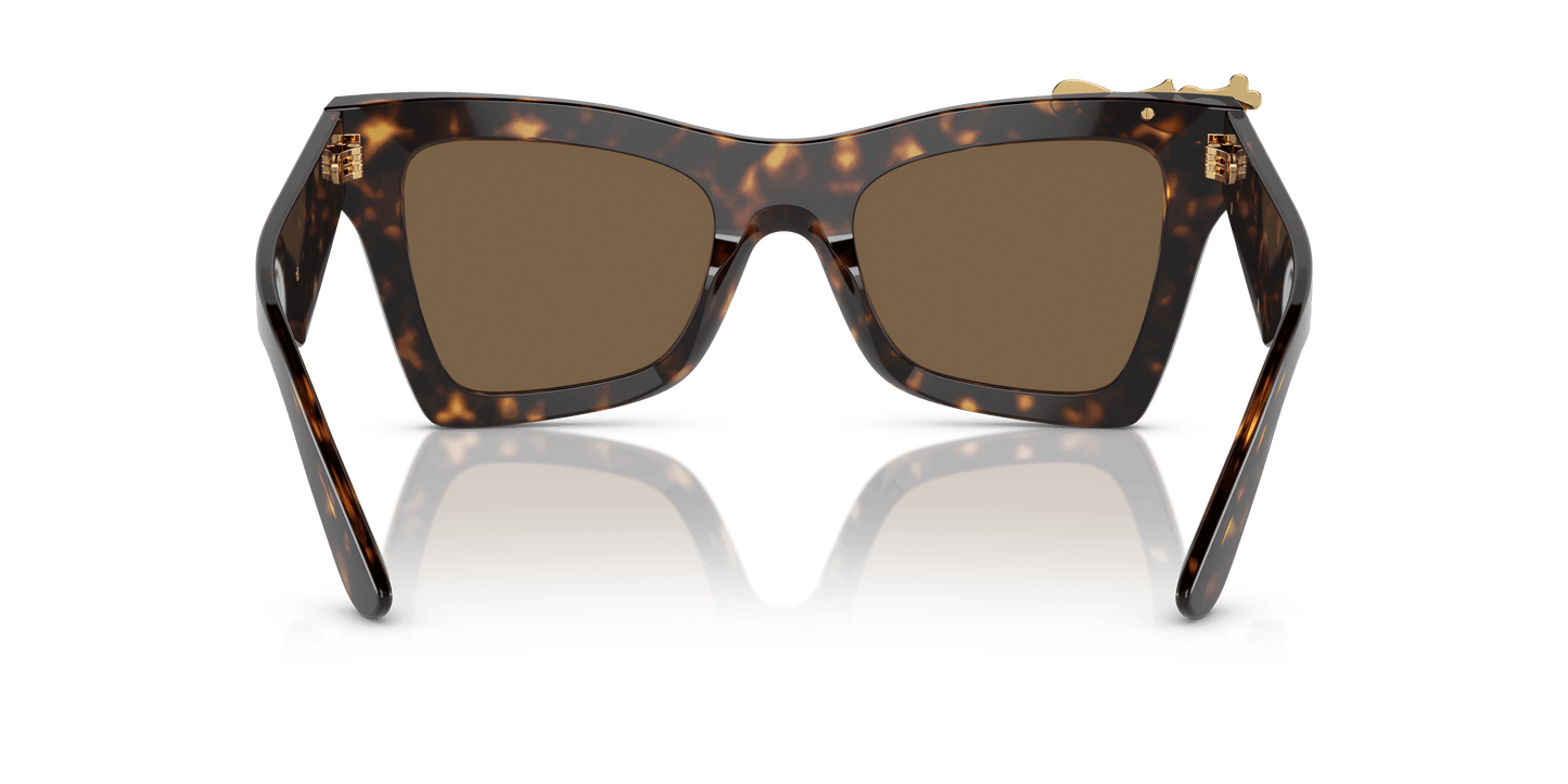 משקפי שמש דולצ'ה וגבאנה הוואנה-חום כהה | Dolce&Gabbana DG4434 Havana-Dark Brown