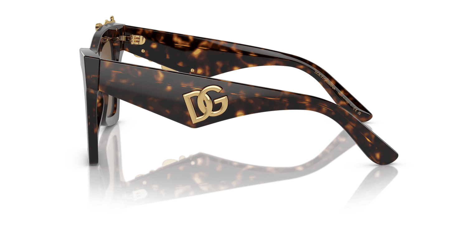 משקפי שמש דולצ'ה וגבאנה הוואנה-חום כהה | Dolce&Gabbana DG4434 Havana-Dark Brown