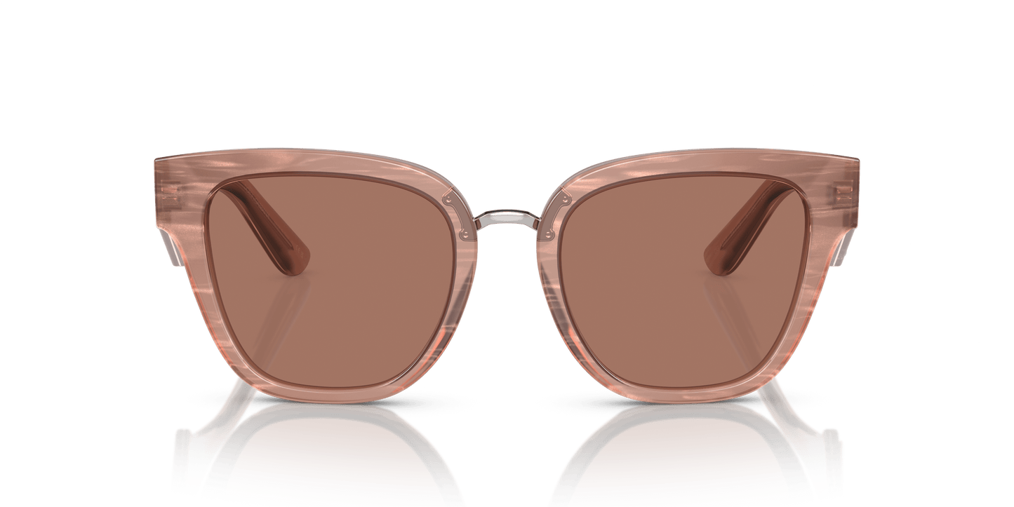 משקפי שמש דולצ'ה וגבאנה פלר קרמל-חום כהה | Dolce&Gabbana DG4437 Fleur Caramel-Dark Brown