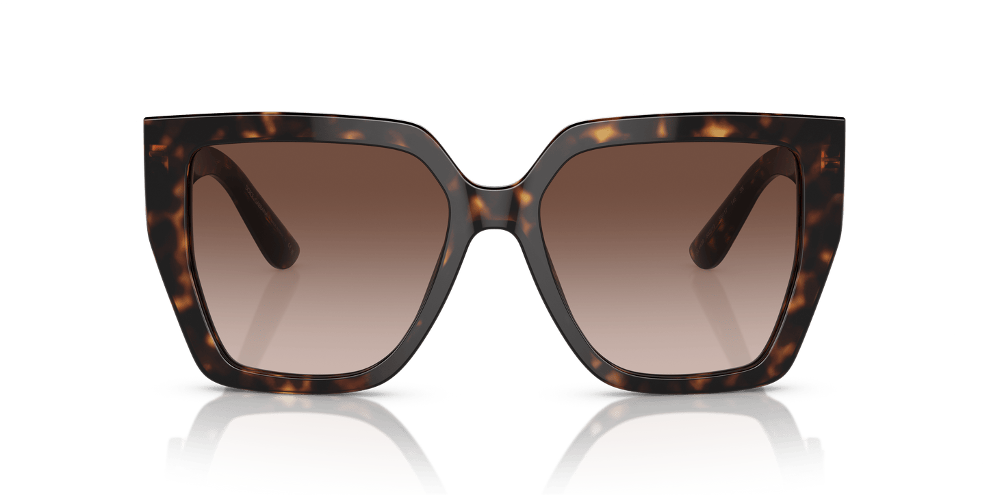 דולצ'ה וגבאנה משקפי שמש הבנה-גרדיינט חום | Dolce&Gabbana DG4438 Havana-Gradient Brown