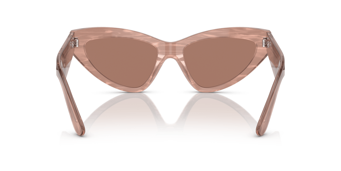 Dolce & Gabbana DG4439 Fleur Caramel-Dark Brown Sunglasses