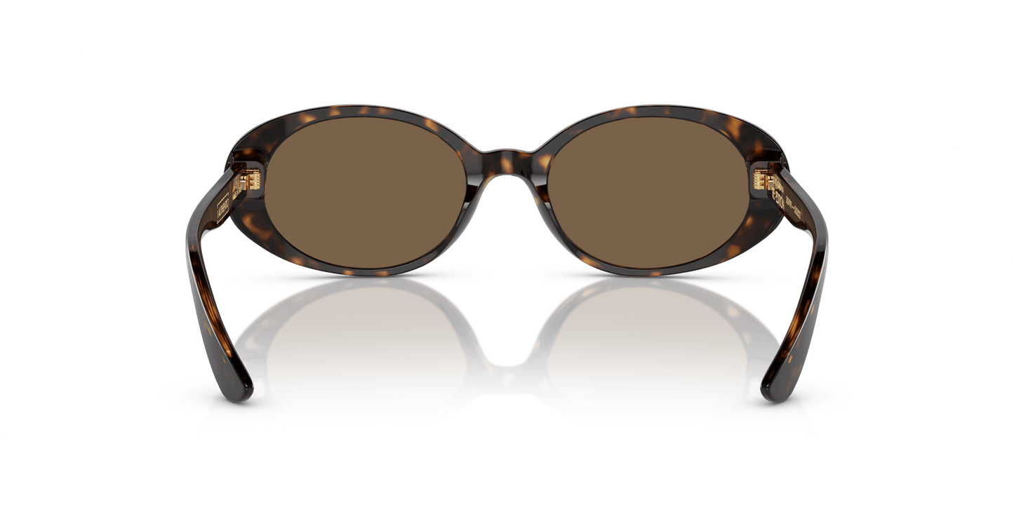 Dolce & Gabbana Sunglasses Havana-Dark Brown | Dolce&Gabbana DG4443 Havana-Dark Brown